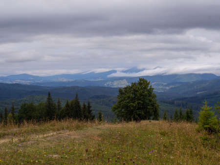 Majestic landscape of summer mountains. View of hills in mist. Carpathians. Amaizing view on the mountains and cloudy sky near Verkhovyna, Ukraine.の写真素材