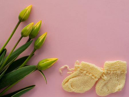 Yellow tulips flowers and yellow booties for a newborn on pink background with copy space. Mother's Day greeting card. Writing wishes for mother. Knitted baby shoes with paper card and green flowers.の写真素材