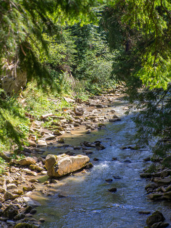 Small river flowing rapidly and vividly through its wild stony valley. Wild hardwood forest accompanies the river along its path. Large dislocated boulders populate the riverbed. Carpathians, Ukraineの写真素材