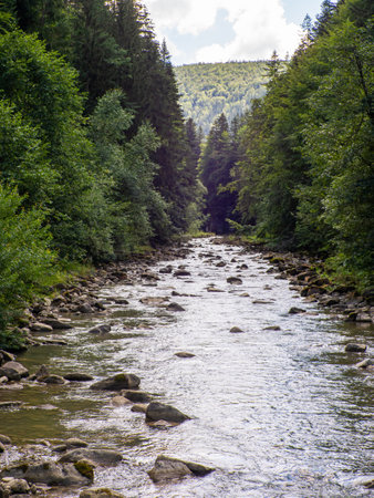 Small river flowing rapidly and vividly through its wild stony valley. Wild hardwood forest accompanies the river along its path. Large dislocated boulders populate the riverbed. Carpathians, Ukraineの写真素材