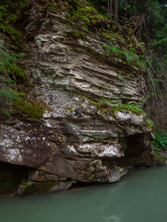 Scenic view of canyon with river and green trees in summer in Carpathian mountains. Beautiful rocky canyon in Ukraine. Travel, hiking, adventure. River coursing in canyon through the coniferous woods.の写真素材