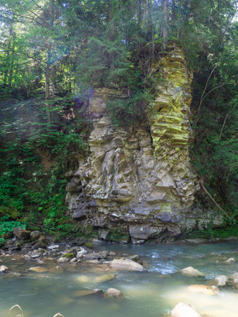 Scenic view of canyon with river and green trees in summer in Carpathian mountains. Beautiful rocky canyon in Ukraine. Travel, hiking, adventure. River coursing in canyon through the coniferous woods.の写真素材