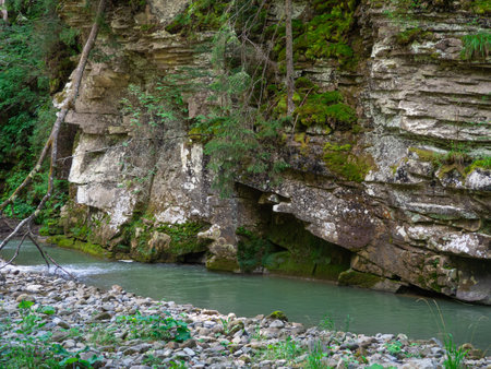Scenic view of canyon with river and green trees in summer in Carpathian mountains. Beautiful rocky canyon in Ukraine. Travel, hiking, adventure. River coursing in canyon through the coniferous woods.の写真素材