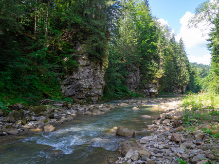 Scenic view of canyon with river and green trees in summer in Carpathian mountains. Beautiful rocky canyon in Ukraine. Travel, hiking, adventure. River coursing in canyon through the coniferous woods.の写真素材