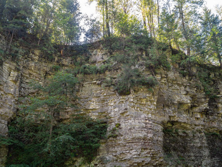 This image showcases the intricate textures, layers, and age-old cracks found in sedimentary rock. It illustrates geological processes that shaped the earth's surface over millennia.の写真素材