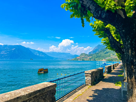 Beautiful alley for walk on the lakefront of Sale Marasino on Lake Iseo, Brescia, Italy. Road in a Park with Side Trees. Treelined lane as background.の写真素材