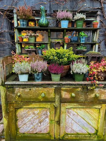 A lovely shabby chic wooden cabinet with shelves, perfect for displaying potted plants. Its rustic charm enhances any space, bringing a cozy and inviting touch to homes or gardens.の写真素材