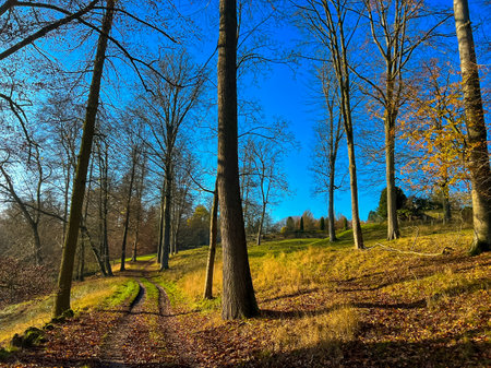 A picturesque park scene featuring a winding path adorned with vibrant autumn leaves, flanked by lush trees. To the left, a serene lake, all set against a brilliant blue sky. Waterloo, Belgiumの写真素材