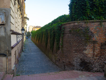 A breathtaking scenic view showcasing the ancient city wall of ivano-frankivsk. The wall is beautifully adorned with lush green climbing plants, blending nature and history.の写真素材