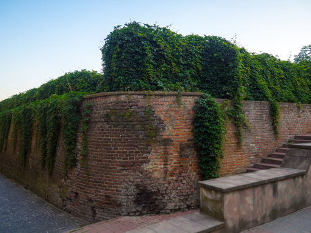 Photo showcasing ancient brick wall adorned with vibrant green hedges in ivano-frankivsk, highlighting the charming blend of history and nature. Brick wall with stairs and steps on the right sideの写真素材