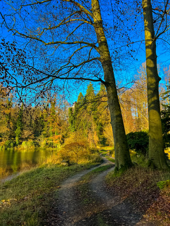 A breathtaking autumn landscape road in waterloo, belgium, featuring a serene lake surrounded by vibrant trees adorned with fall colors under a clear blue sky. Perfect for nature lovers.の写真素材