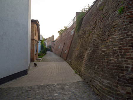 A breathtaking scenic view showcasing the ancient city wall. The wall is beautifully adorned with lush green climbing plants, blending nature and history.の写真素材