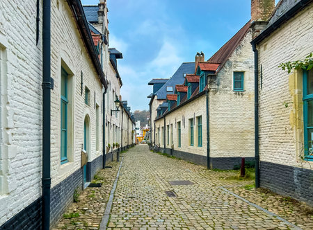 This image showcases a beautiful cobblestone street set in a historic preservation area. Quaint white brick houses with green shutters and black trim line the right side, all beneath a clear blue sky.の写真素材