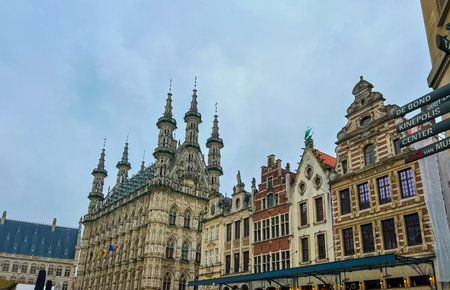 The stunning town hall of Leuven, Belgium, showcases a breathtaking blend of gothic and renaissance architecture. Intricate stone carvings and gothic spires create a majestic atmosphere.の写真素材