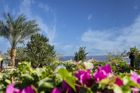 Beautiful Exotic nature view relax vocation view.の写真素材