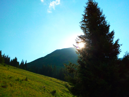 Through the branches of a treeの写真素材