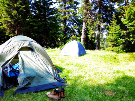 Tourist tents in the woodsの写真素材