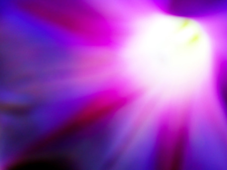 purple backgroundの写真素材