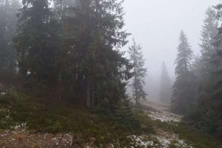 mountains in the fogの写真素材