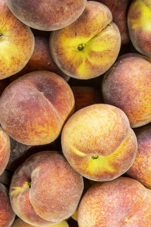 Fresh peaches ready for processing.