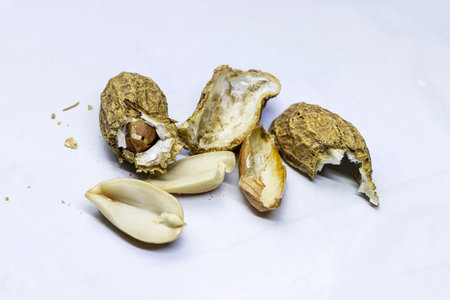 Nuts on a white table.の写真素材