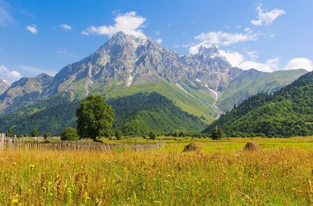 Beautiful landscape of the meadow on a background of snow-capped peaks of the Caucasus Mountains of...