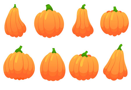Pumpkins in vibrant orange colour set of vector illustrations. Autumn gifts, Halloween, Thanksgivingのイラスト素材