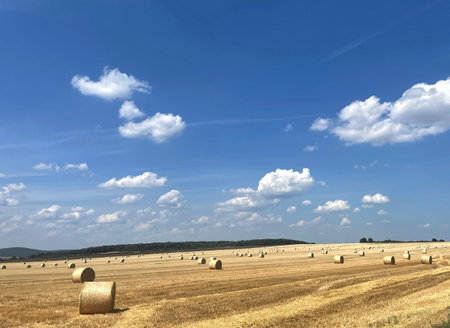 Golden Harvest Field with Hay Bales and Rolling Hillsの写真素材