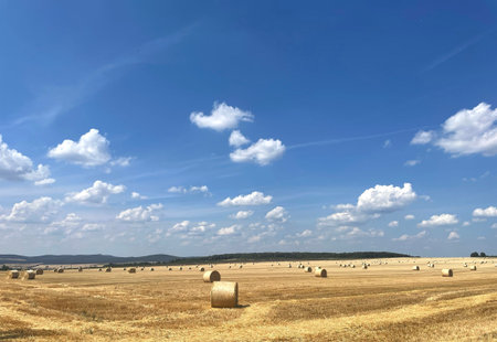 Golden Harvest Field with Hay Bales and Rolling Hillsの写真素材