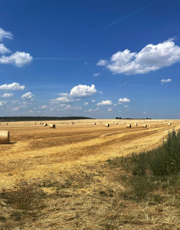Golden Harvest Field with Hay Bales and Rolling Hillsの写真素材