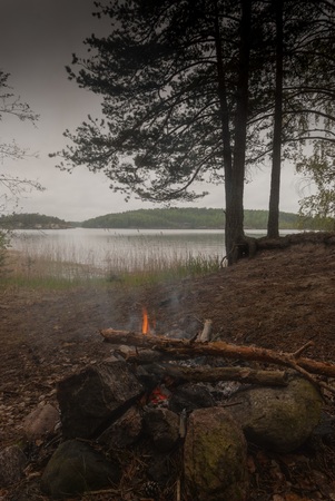 fire in a forest amidst fogの写真素材