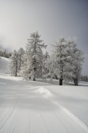 ski slopes in the Italian Alpsの写真素材