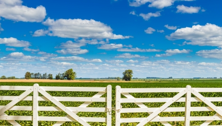 A white picket fence in front of a beautiful farmland on a sunny dayの写真素材