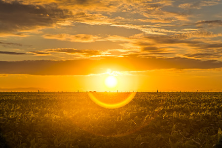 Long exposure shot of a beautiful sunrise の写真素材
