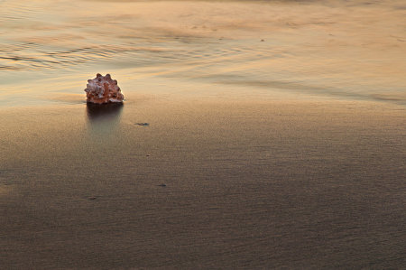 summer spent by the seaの写真素材