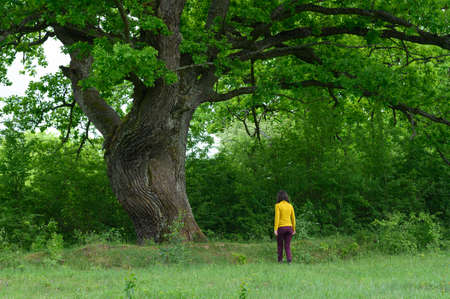 a walk in the national parkの写真素材