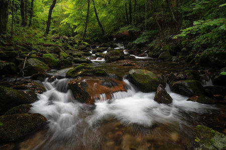 pure mountain stream waterの写真素材