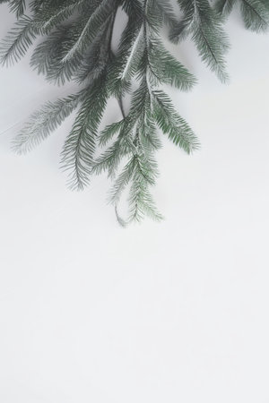 Christmas tree branches on white wooden background. Flat lay, top view. Generative AIの素材
