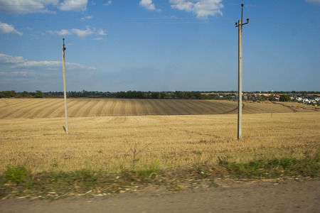 Field with wheat near the road and clear sky with cloudsの写真素材