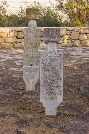 The holy stones at the Hala Sultan Tekkes Mosque on a background of palm treesの写真素材