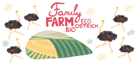 Cute ostrich handdrawn vector illustration. Family farm illustration and lettering. Exotic animal isolated on white background. Farm birds, rural landscapeのイラスト素材