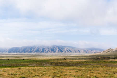 Gobustan National Park Reserve Baku Azerbaijan. Spring mountain landscape, Caucasian foothills, Tourism and hikingの写真素材