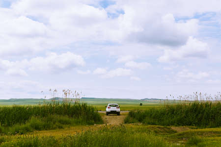 Rear view of the white car among the blooming spring field. Off-road solo travel, modern nomads. Road trip concept, countryside meadow. Scenic background with copy spaceの写真素材