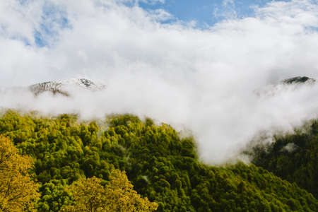 Mountains in fog Landscape with mountain valley low clouds forest colorful sky nature illuminated at dusk. Misty landscape with fir forest. Photo of Caucasian nature with copy spaceの写真素材