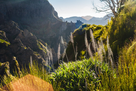 Beautiful hiking trail Trekking from Pico do Arieiro to Pico Ruivo Madeira island Portugal. Mountain sunset. Wellness zen calm concept. Scenic springtime nature background touristic wallpaperの写真素材