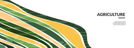 Abstract agri farm field wavy collage background. Asian agriculture land backdrop, farmland colorful vector illustration. Oriental decorative banner, eco design, rural panorama, ecology art headerのイラスト素材