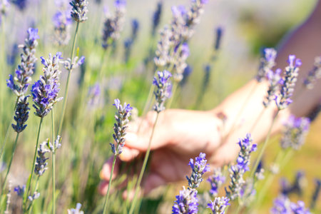 Young woman Touch the nature.の写真素材