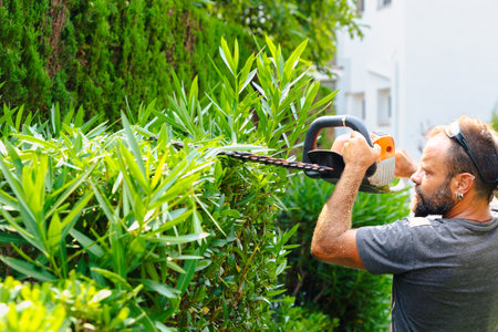 Gardener trimming hedge with electric hedge trimmer in garden outdoor work