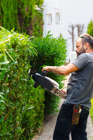 Gardener trimming hedge with electric hedge trimmer in garden outdoor workの写真素材