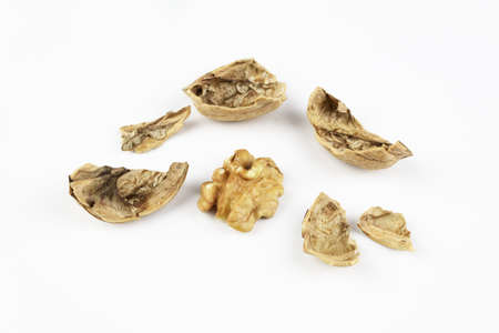 Pieces of broken walnut shell and half of core on white surface